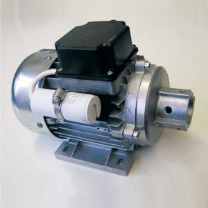 AC standard motor with burner flange